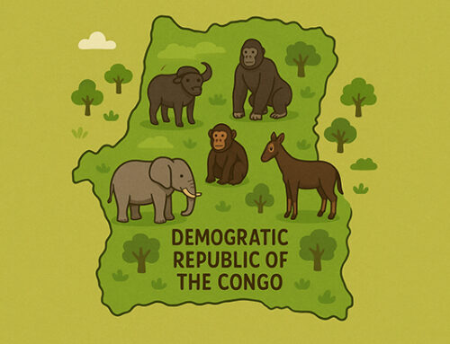 2023 – Democratic Republic of Congo (DRC)