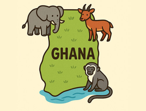 2008 – Ghana